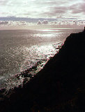 tanya%20g%20wood%20foundation001001.jpg